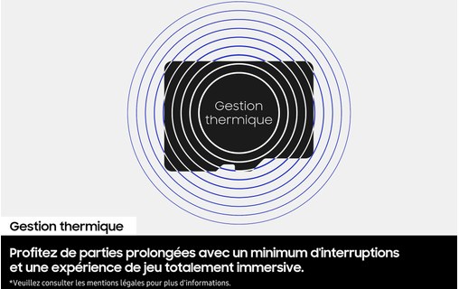 Carte microSDXC Samsung P9 Express 256 Go, UHS-I, V30