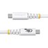 Câble USB-C - StarTech - 240 W 4K 20 Gbit/s - USB 4 - 2 m - Blanc