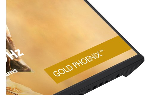 Écran Gaming 31,5" iiyama G-MASTER GB3295QSU-B1 - 240 Hz USB-C