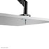 Bras articulé - 1 écran - Noir - Neomounts DS70-810BL1