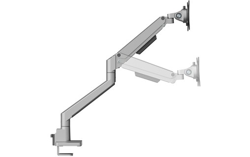 Support écran de bureau - 1 écran - Argent - Neomounts DS70-250SL1