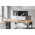 Bras articulé - 2 écrans - Blanc - Neomounts DS60-425WH2