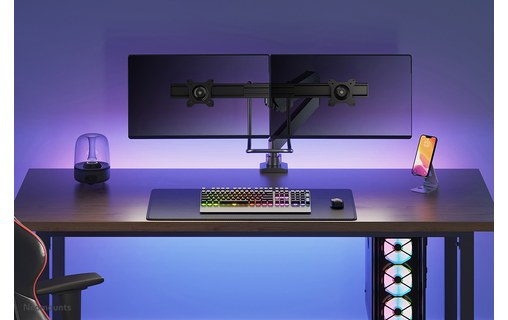 Bras articulé - 2 écrans - Noir - Neomounts NM-D775DXBLACK