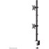 Support écran de bureau - 2 écrans - Noir - Neomounts FPMA-D550DVBLACK