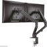 Bras articulé - 2 écrans - Noir - Neomounts FPMA-D650DBLACK