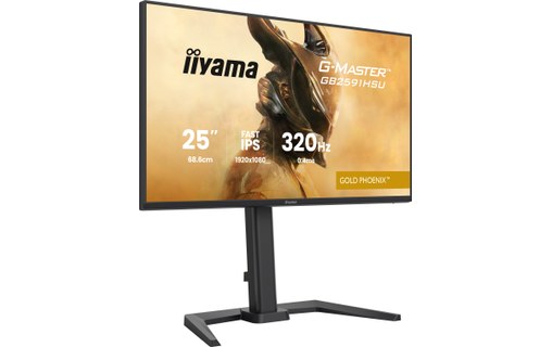 Écran Gaming 24,5" iiyama G-MASTER GB2591HSU-B1 - 320 Hz