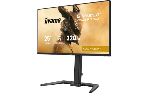 Écran Gaming 24,5" iiyama G-MASTER GB2591HSU-B1 - 320 Hz
