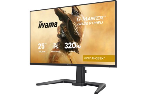 Écran Gaming 24,5" iiyama G-MASTER GB2591HSU-B1 - 320 Hz
