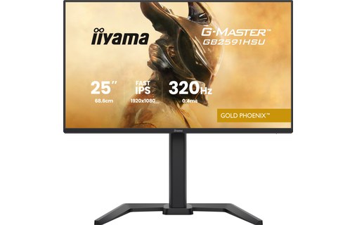 Écran Gaming 24,5" iiyama G-MASTER GB2591HSU-B1 - 320 Hz