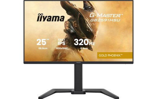 Écran Gaming 24,5" iiyama G-MASTER GB2591HSU-B1 - 320 Hz