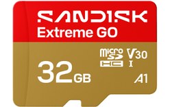 Carte microSDHC SanDisk Extreme GO 32 Go, UHS-I, V30