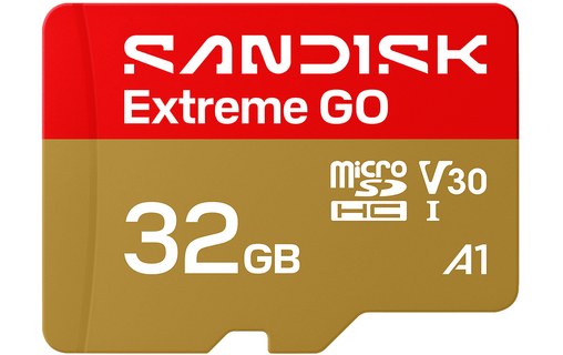 Carte microSDHC SanDisk Extreme GO 32 Go, UHS-I, V30