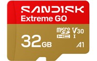 Carte microSDHC SanDisk Extreme GO 32 Go, UHS-I, V30