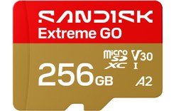 Carte microSDXC SanDisk Extreme GO 256 Go, UHS-I, V30