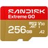 Carte microSDXC SanDisk Extreme GO 256 Go, UHS-I, V30