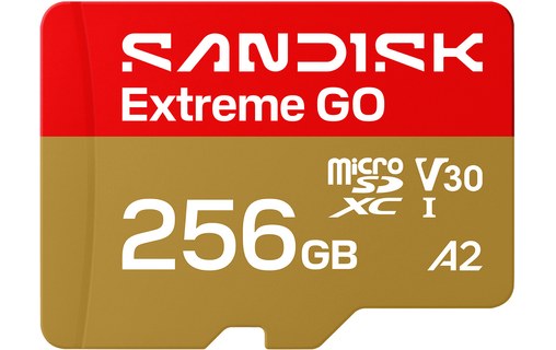 Carte microSDXC SanDisk Extreme GO 256 Go, UHS-I, V30