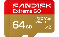 Carte microSDXC SanDisk Extreme GO 64 Go, UHS-I, V30