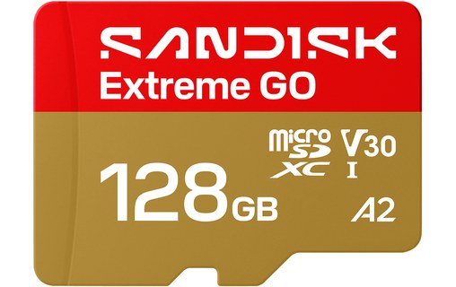 Carte microSDXC SanDisk Extreme GO 128 Go, UHS-I, V30