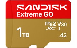 Carte microSDXC SanDisk Extreme GO 1 To, UHS-I, V30
