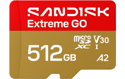 Carte microSDXC SanDisk Extreme GO 512 Go, UHS-I, V30
