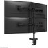 Support écran de bureau - 4 écrans - Noir - Neomounts DS60-600BL2-2