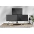 Support écran de bureau - 3 écrans - Noir - Neomounts DS60-600BL2-1