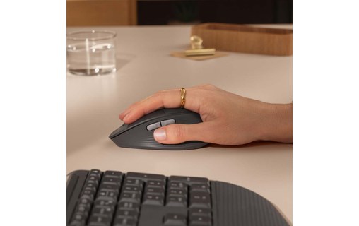 Souris sans fil Logitech Signature Comfort Plus M850 L - Graphite