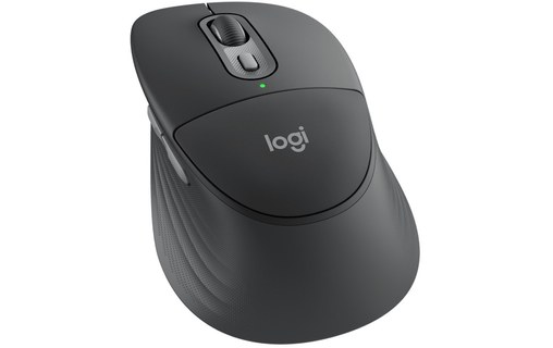 Souris sans fil Logitech Signature Comfort Plus M850 L for Business - Graphite