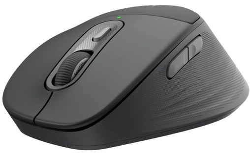 Souris sans fil Logitech Signature Comfort Plus M850 L for Business - Graphite