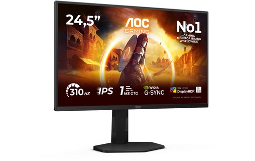 Écran Gaming 24,5" AOC G4 25G4SXU - 310 Hz