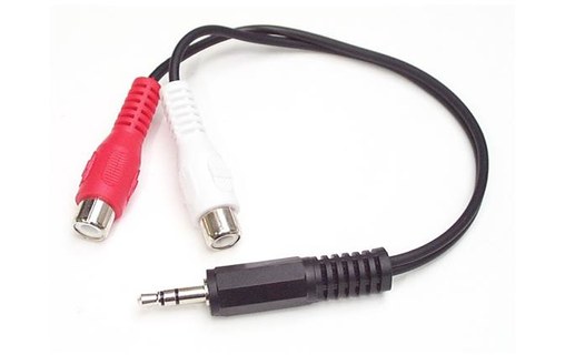 StarTech.com Câble Adaptateur Audio Mini-Jack 3.5mm Mâle vers 2x RCA / Cinch Fem