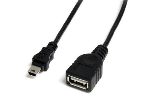 StarTech.com Câble Mini USB 2.0 de 30cm - USB A vers Mini B - F/M