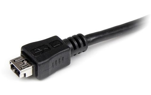 StarTech.com Câble adaptateur Micro USB vers Mini USB M/F 15 cm