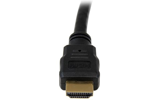 Câble HDMI 1.4 4K @ 30Hz - StarTech - 30 cm - Noir
