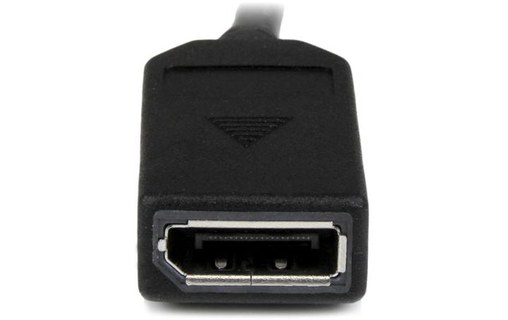 StarTech.com Câble adaptateur DMS-59 (LFH) vers 2x DisplayPort de 20cm - Câble e
