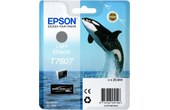 Epson T7607