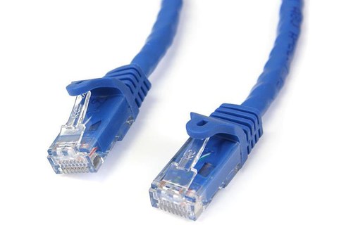 StarTech.com Câble réseau Cat6 Gigabit UTP sans crochet de 50cm - Cordon Etherne