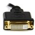 StarTech.com Adaptateur vidéo Mini HDMI vers DVI-D de 20 cm - Convertisseur Mini