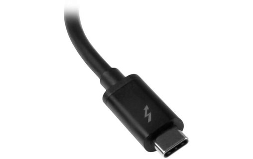 StarTech.com Adaptateur Thunderbolt 3 vers Thunderbolt - Windows seulement - M/F