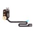 Antenne Bluetooth / Wi-Fi pour iPhone 6s Plus