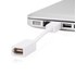 Moshi - Adaptateur FireWire 800 vers FireWire 400