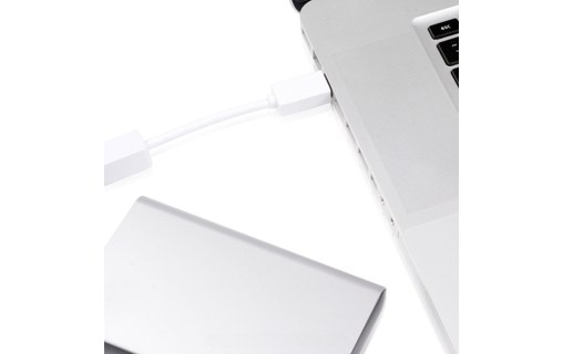 Moshi - Adaptateur FireWire 800 vers FireWire 400