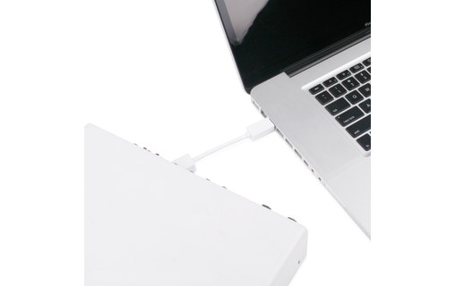 Moshi - Adaptateur FireWire 800 vers FireWire 400