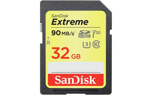 Sandisk SDSDXVE-032G-GNCI2 32Go SDHC UHS-I Classe 10 mémoire flash