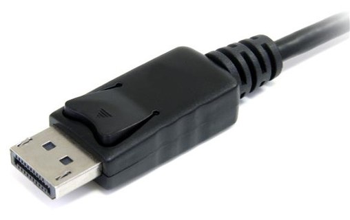 StarTech.com Adaptateur de câble vidéo 15 cm DiplayPort vers Mini DisplayPort –