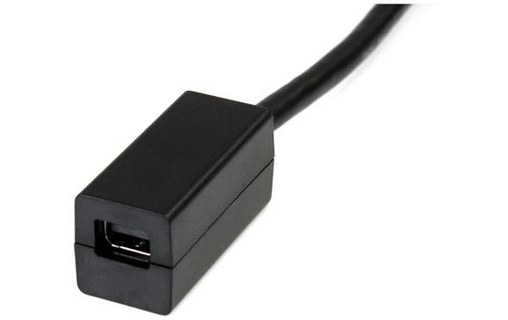StarTech.com Adaptateur de câble vidéo 15 cm DiplayPort vers Mini DisplayPort –