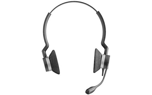 Micro-casque sans fil Jabra Biz 2300 QD Unify Duo, Noir - Bluetooth, USB