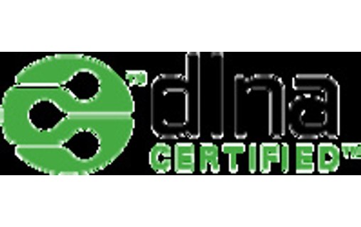 Western Digital My Cloud EX2 Ultra Armada 385 Ethernet/LAN Bureau Noir NAS