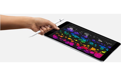 Apple iPad Pro 10,5" - 2017 - Wi-Fi - 256 Go - Gris sidéral