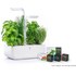 Véritable SMART - Potager d'intérieur